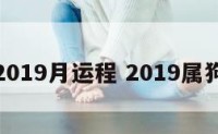 属狗2019月运程 2019属狗运势