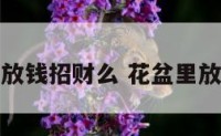 花盆里放钱招财么 花盆里放钱好吗