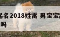 男宝宝起名2018姓雷 男宝宝起名2018姓雷好吗