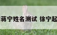 徐蒋宁姓名测试 徐宁起名