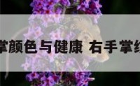 右手掌颜色与健康 右手掌纹变化