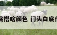 门头白色底搭啥颜色 门头白底什么字好看