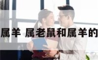 属老鼠与属羊 属老鼠和属羊的会相冲吗