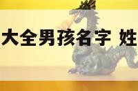 高姓霸气名字大全男孩名字 姓高霸气的男孩名字