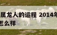 2014年属龙人的运程 2014年属龙人的运程怎么样