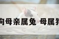 小孩属狗母亲属兔 母属狗儿属兔