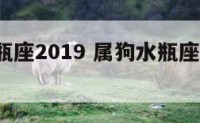 属狗水瓶座2019 属狗水瓶座2024年幸运色