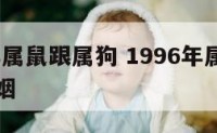 1996年属鼠跟属狗 1996年属鼠和属狗的婚姻