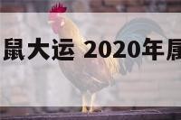 2020年属鼠大运 2020年属鼠人的全年运1