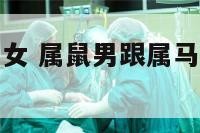 属鼠男跟属马女 属鼠男跟属马女的姻缘怎么样