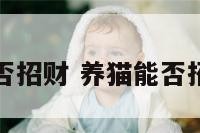 养猫能否招财 养猫能否招财进宝