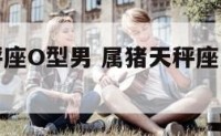 属猪的天秤座O型男 属猪天秤座男生性格和脾气
