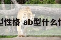 A型AB型性格 ab型什么性格特点