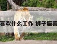 狮子座最喜欢什么工作 狮子座喜欢工作吗