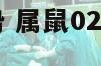 属鼠201年运势 属鼠021年运势及运程每月运程