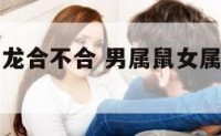 男属鼠女属龙合不合 男属鼠女属龙的婚姻相配吗