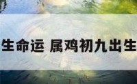 属鸡初九出生命运 属鸡初九出生命运怎么样