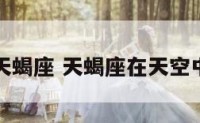 天空中的天蝎座 天蝎座在天空中的位置图