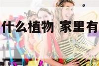 家中有孩子养什么植物 家里有小孩养什么植物无害