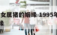 1995年女属猪的姻缘 1995年属猪女生的姻缘
