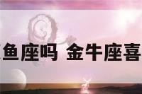 金牛座喜欢双鱼座吗 金牛座喜不喜欢双鱼座