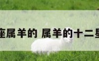 星座属羊的 属羊的十二星座