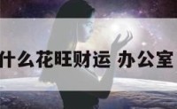 办公室摆什么花旺财运 办公室 摆什么花