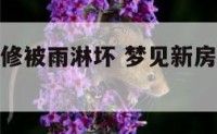 梦见新房装修被雨淋坏 梦见新房装修被雨淋坏了啥意思