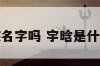 宇晗是男孩名字吗 宇晗是什么意思男孩