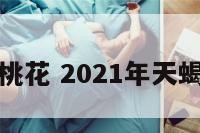 天蝎座女孩桃花 2021年天蝎座女生桃花