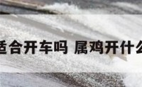 属鸡的人适合开车吗 属鸡开什么牌子车好