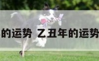 乙丑年的运势 乙丑年的运势和财运