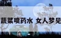 女人梦见给蔬菜喷药水 女人梦见给菜苗浇水