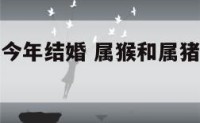 属猴和属猪今年结婚 属猴和属猪结婚都不长久嘛