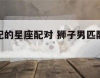 狮子男匹配的星座配对 狮子男匹配的星座配对是什么